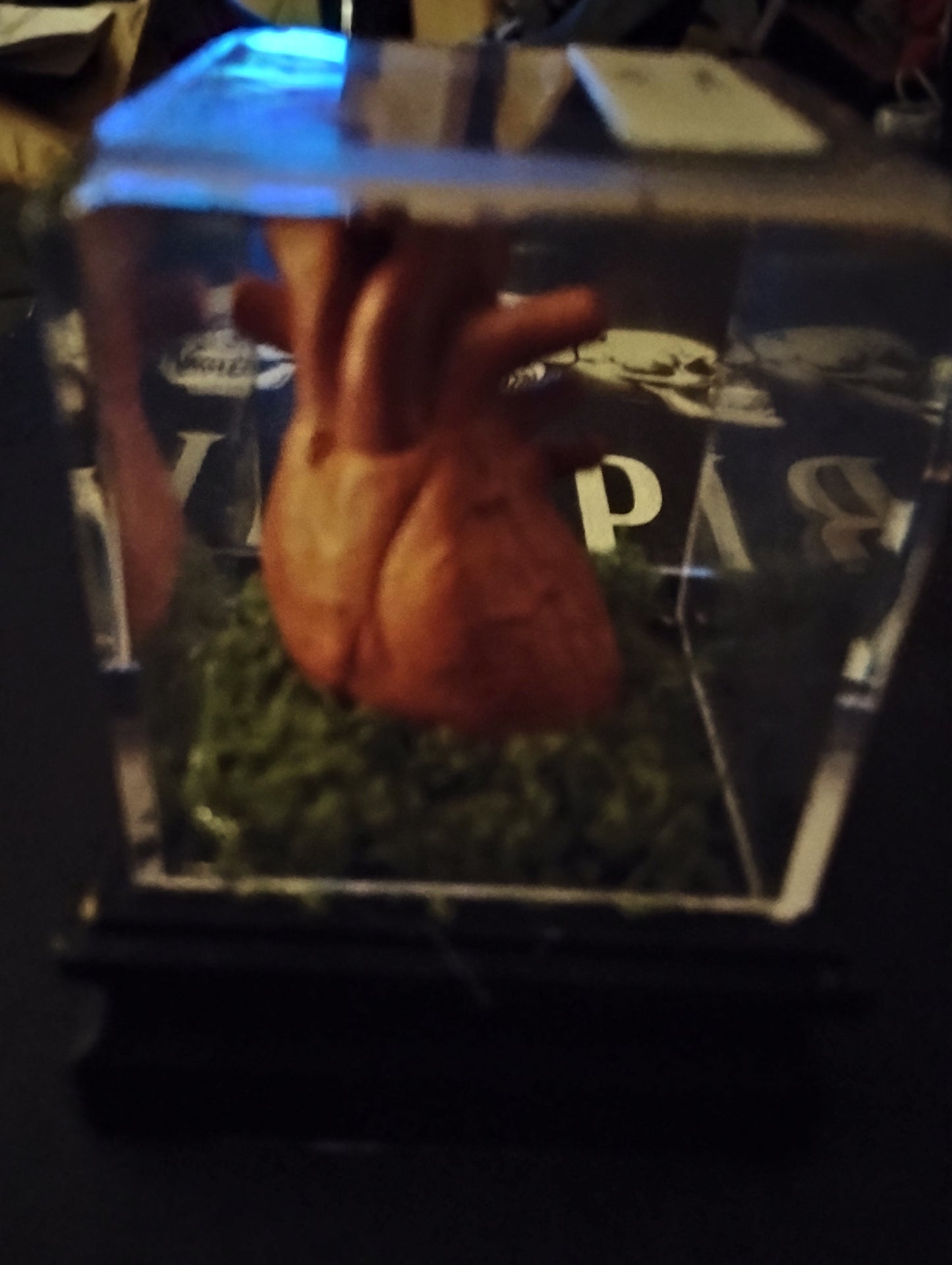 Heart in display