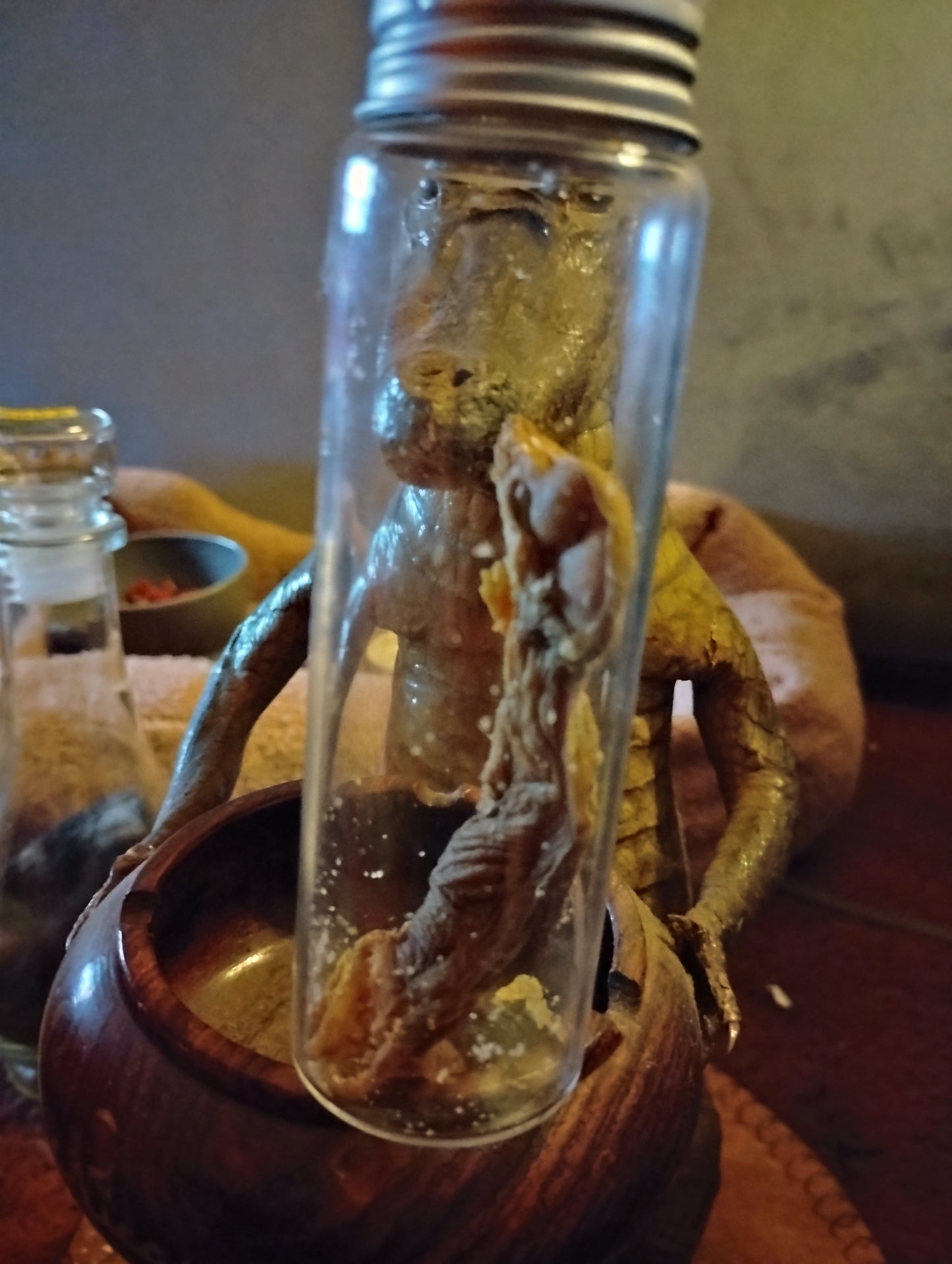 Crystalized fetal pig