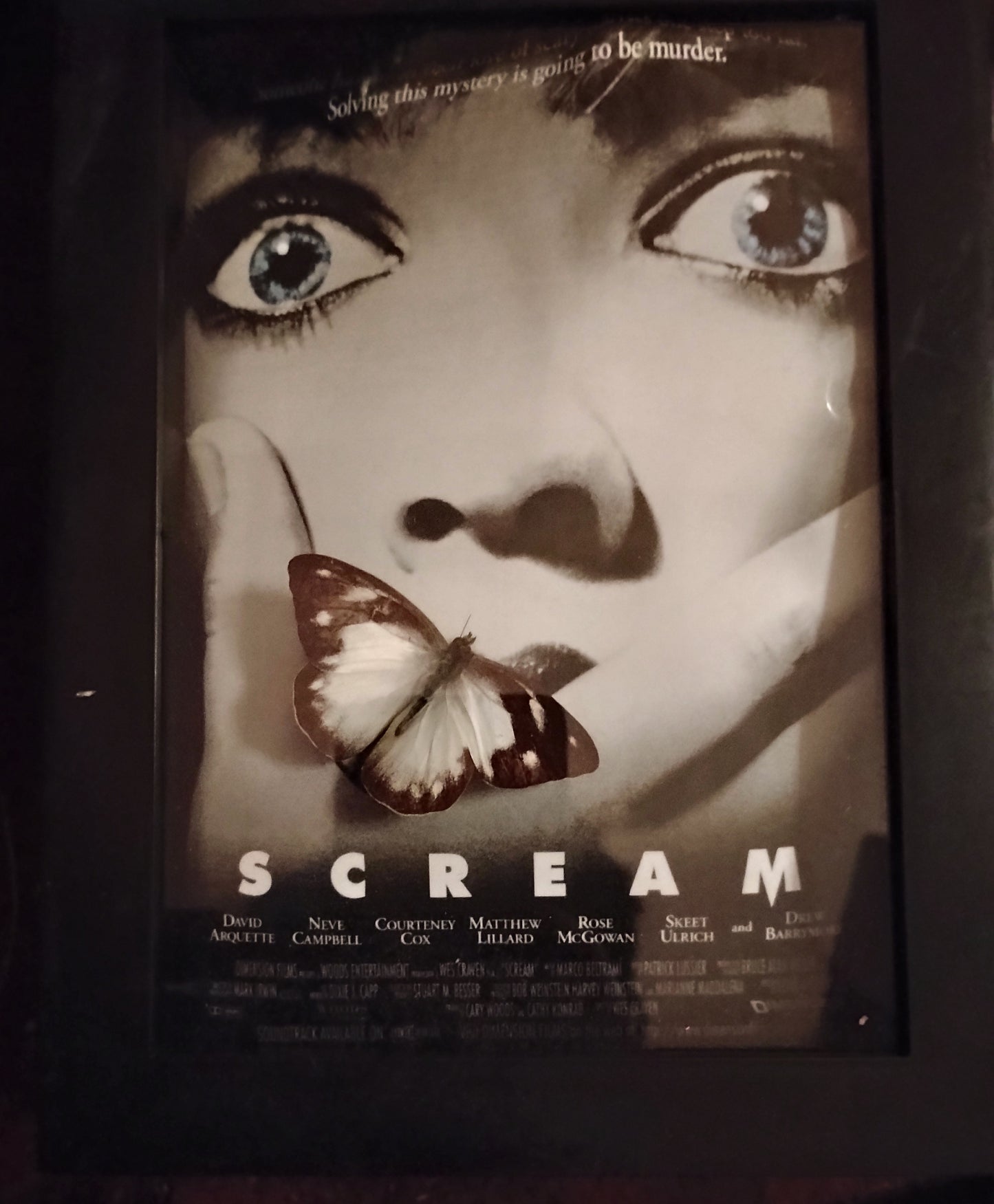 Scream butterfly shadowbox