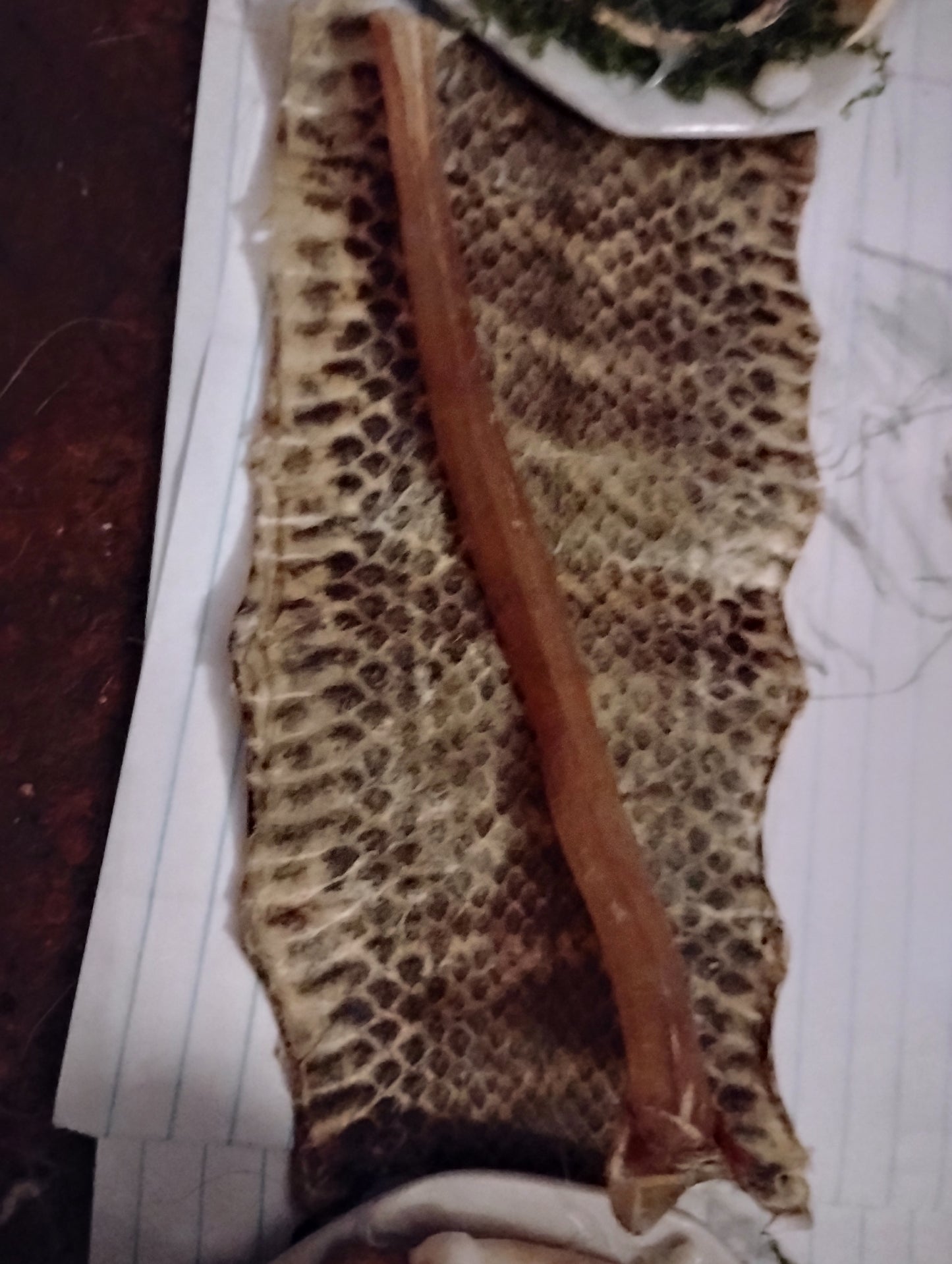 Wolf leg leg