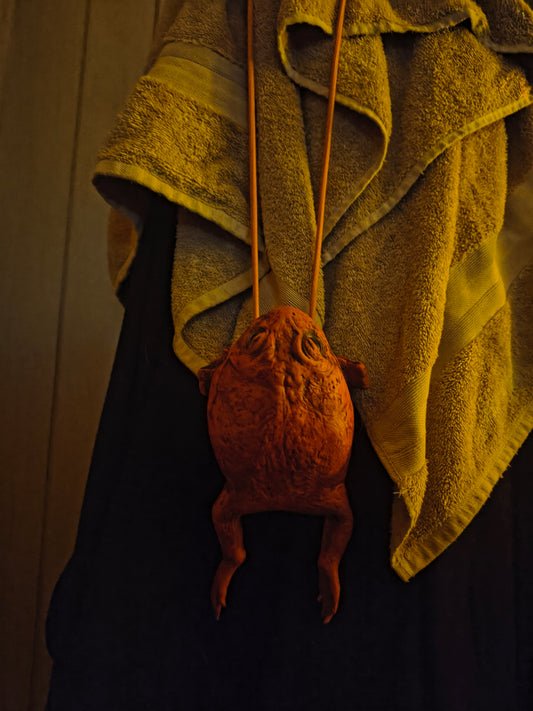 A dumb rubber toad purse
