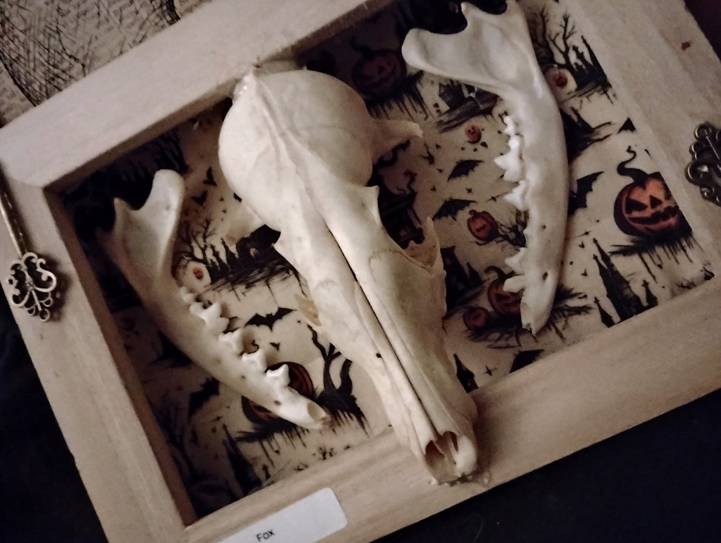 Wolf shadowbox