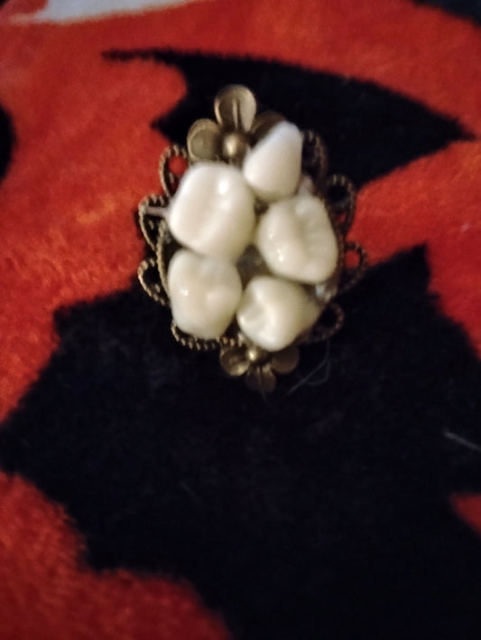 Antique faux teeth adjustable