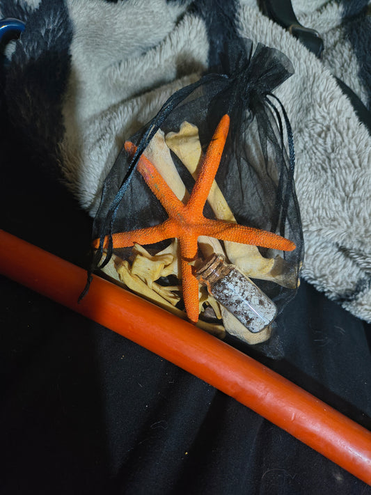 Hoodoo Blessed Bone Throwing With Free Protection Powder