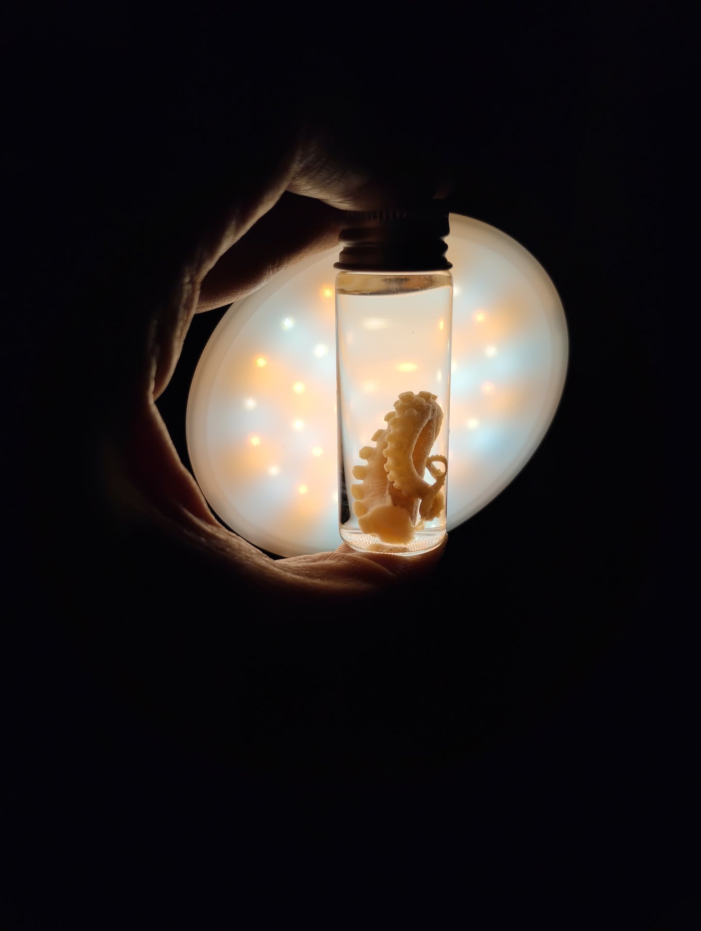 Jerry Tentacle