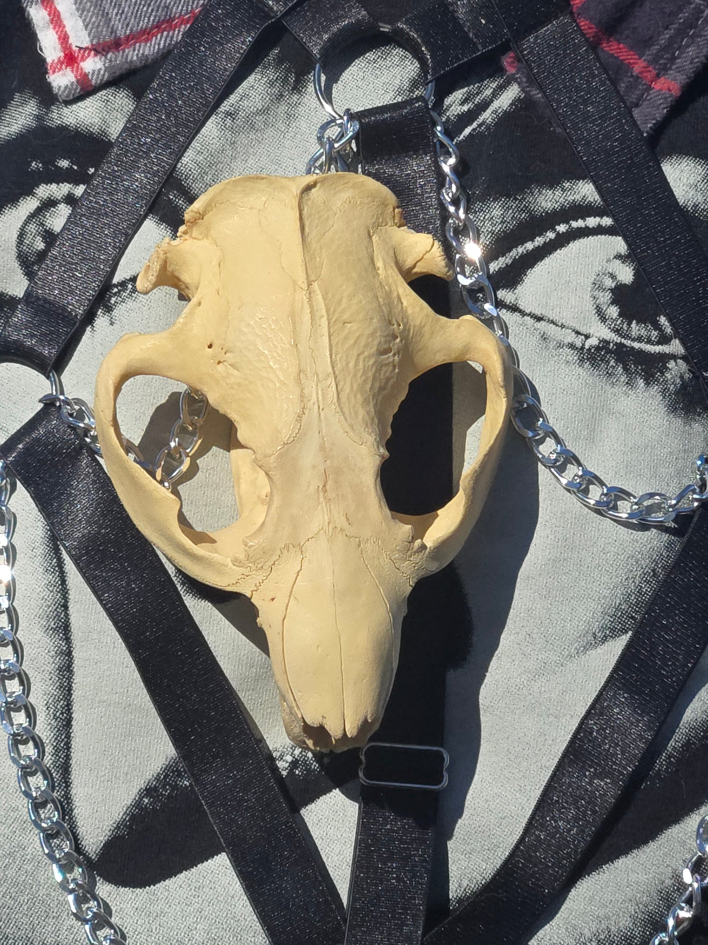 Beaver harness