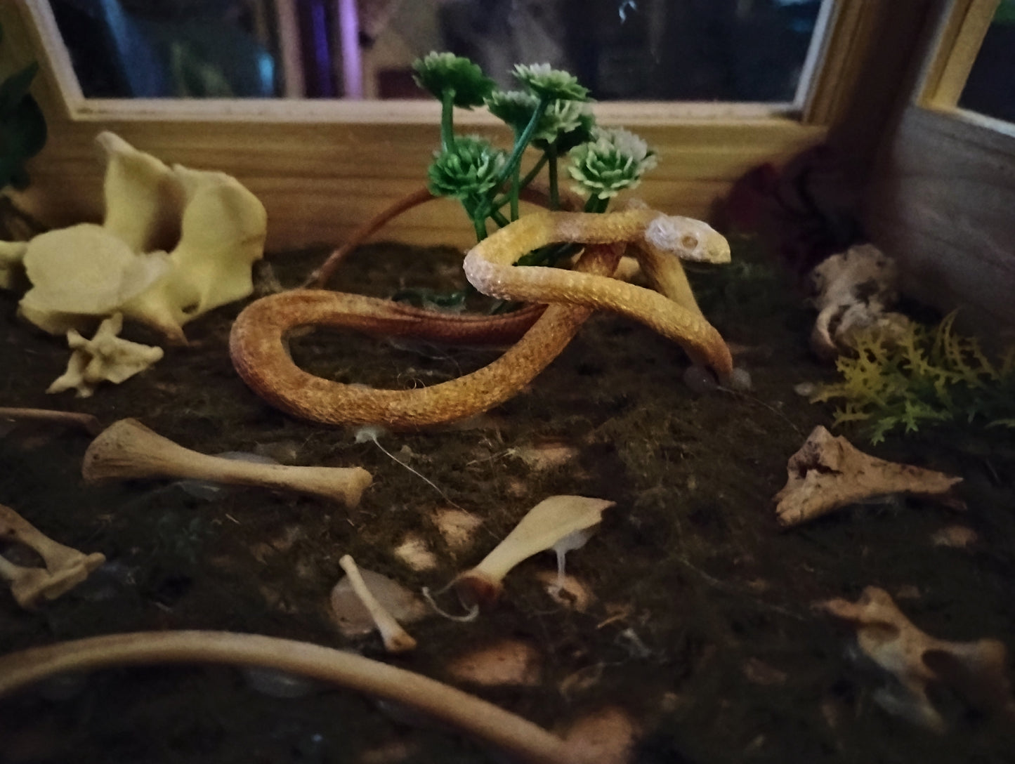 Hungry snake