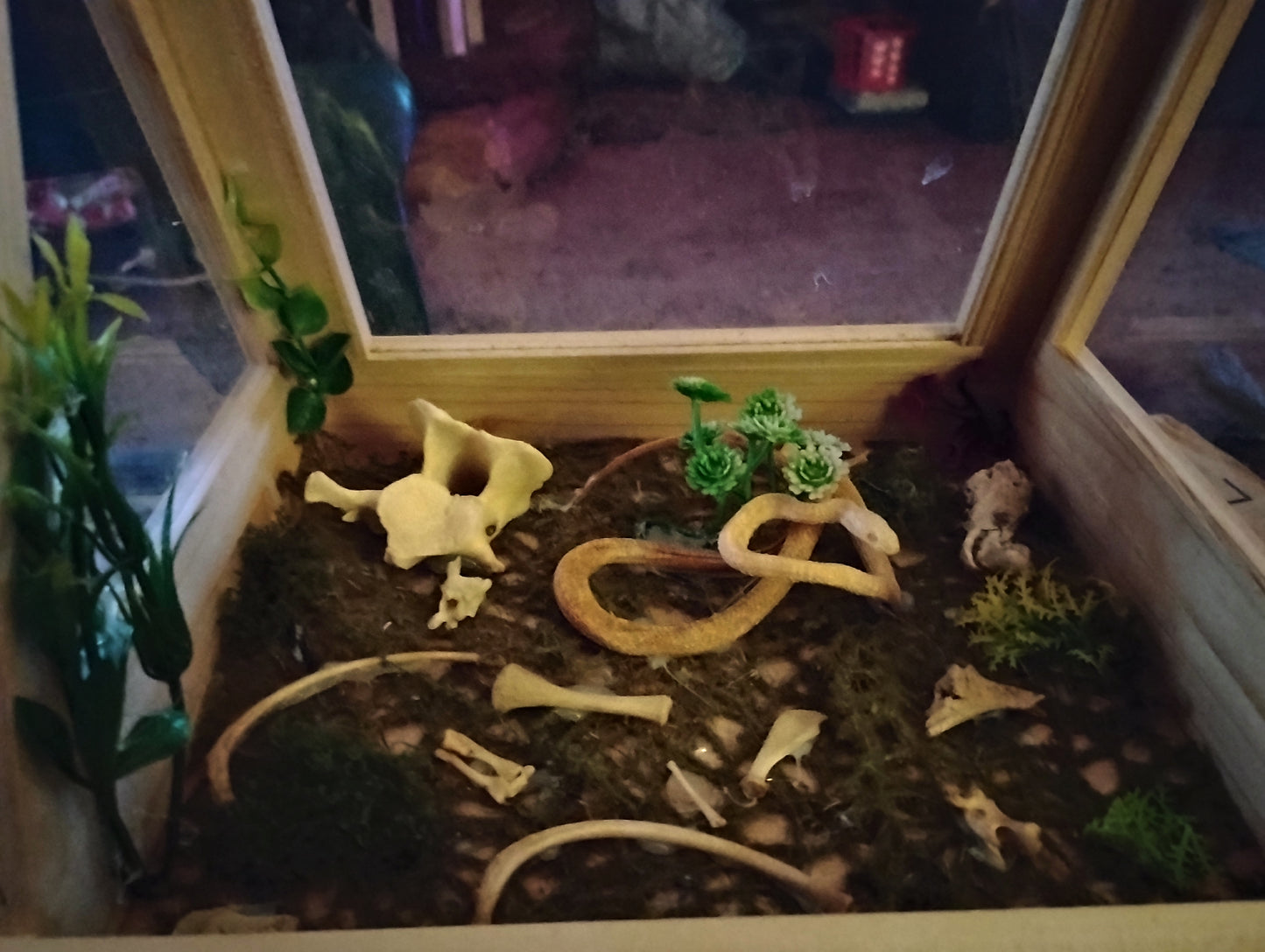 Hungry snake