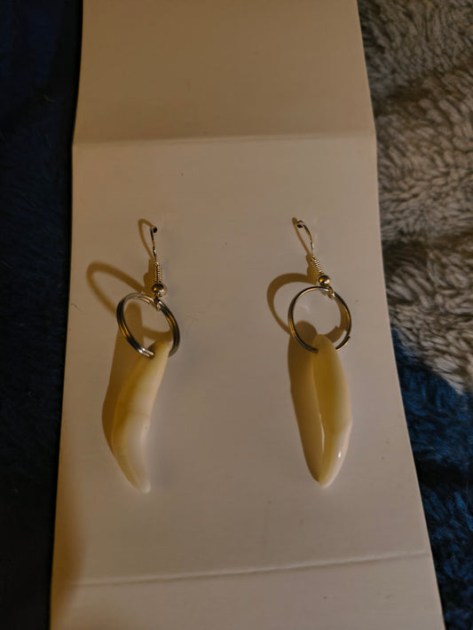 Wolf teeth