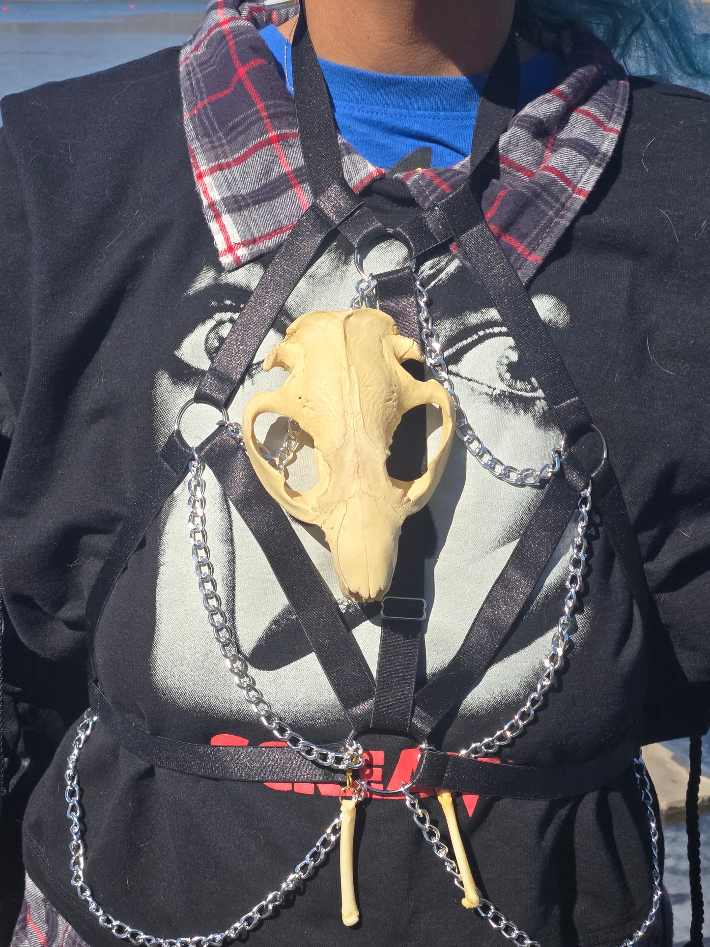 Beaver harness