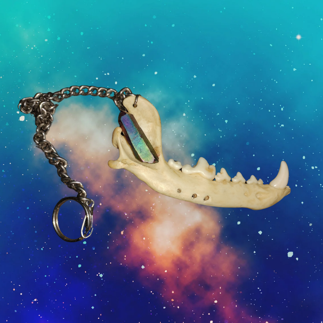 Fox jaw on chain