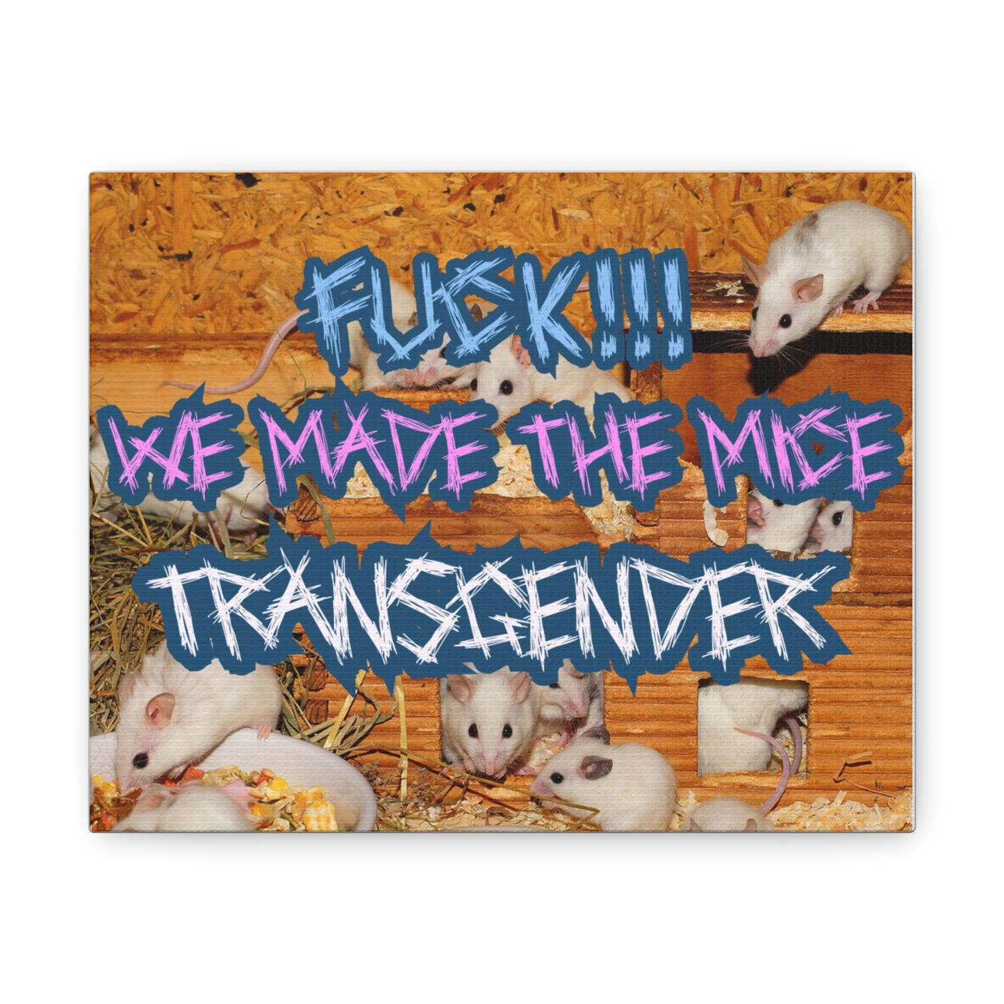 LGBTQ Canvas Gallery Wrap - "We Made the Mice Transgender"