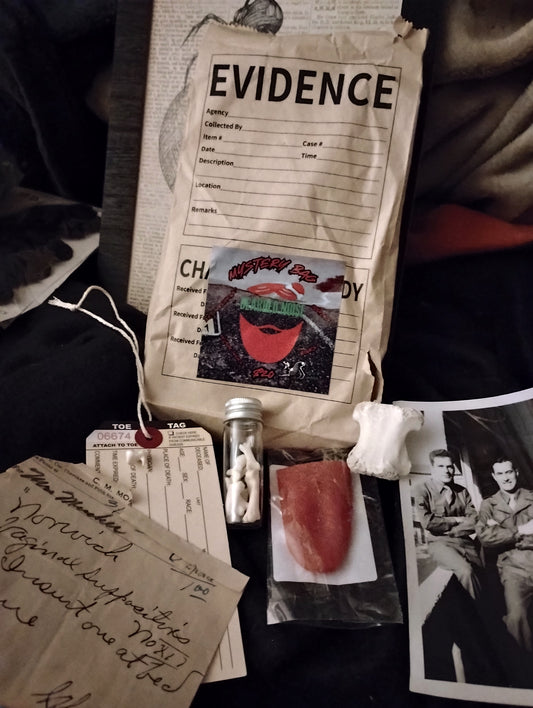 Evidence mystery bag