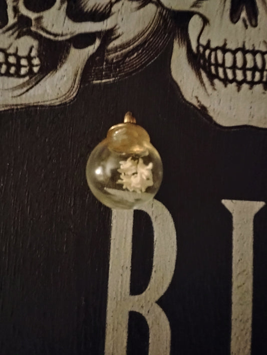 Snake vertebrae necklace