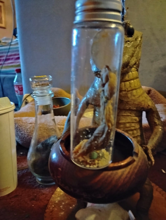 Crystalized fetal pig