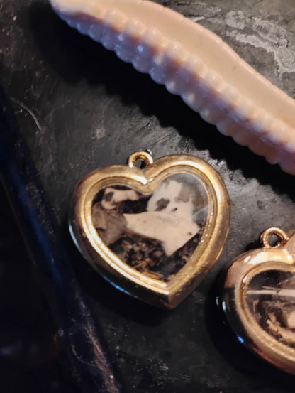 Forest small bone heart