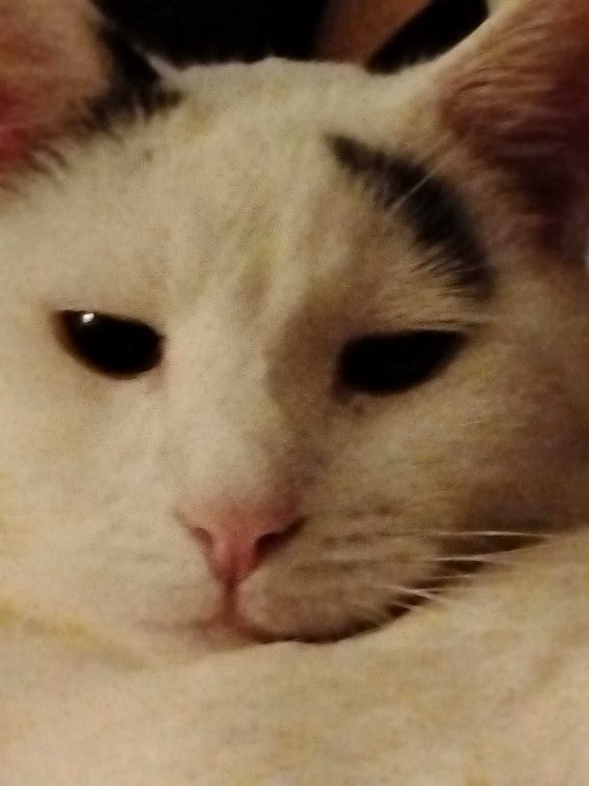 What an excellent day for an exorcism