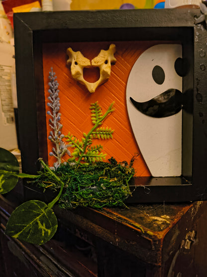 The smiling vertebrae and Jasper the ghost