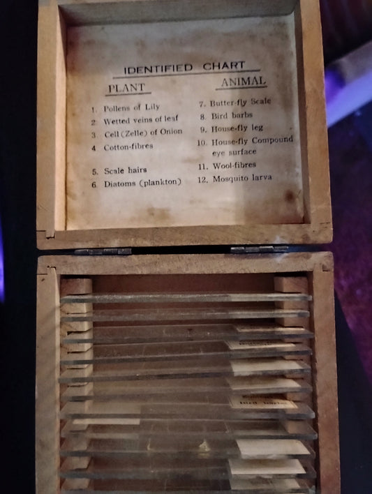 Vintage medical slides