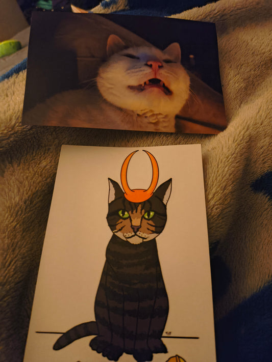 Support The Cats