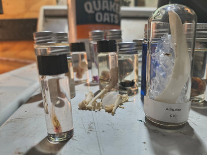 Wet Specimen Mystery