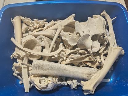 What an excellent day for an exorcism