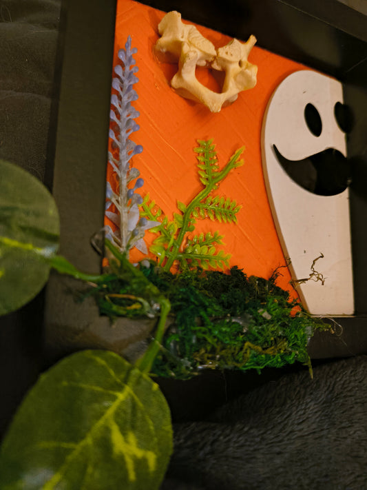 The smiling vertebrae and Jasper the ghost