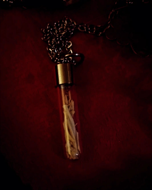 Snake ribs vial necklace