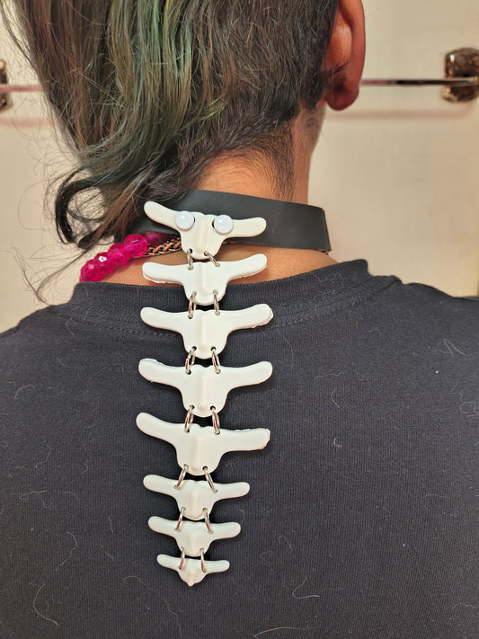 Have a backbone