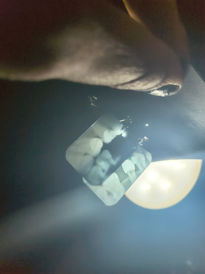 Teeth X-ray earrings
