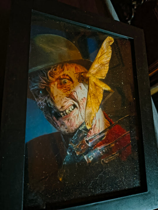 Freddy Streaked Sphinx moth