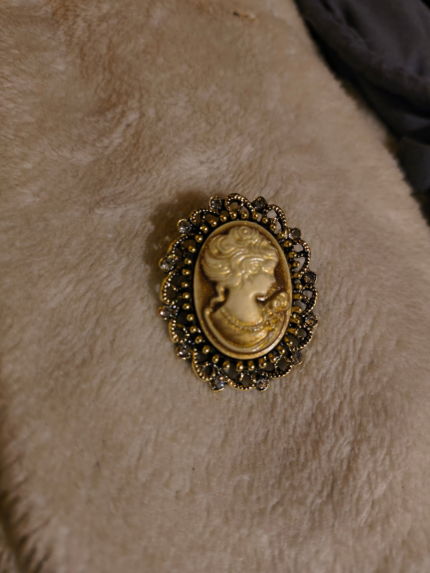 Victorian brooch