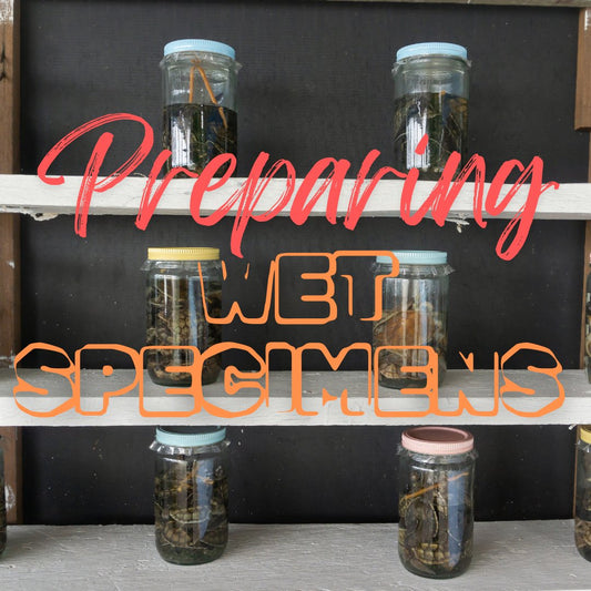 Preparing Wets