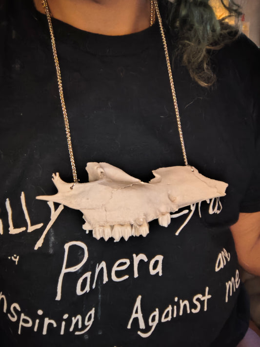 Deer jaw necklace