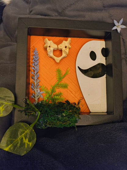 The smiling vertebrae and Jasper the ghost