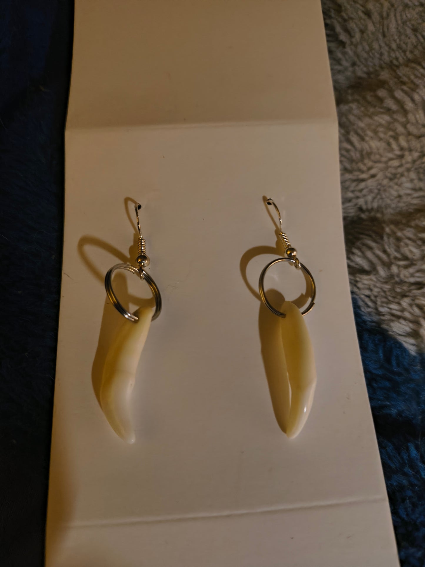 Wolf teeth