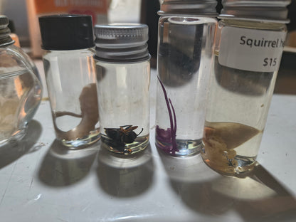 Wet Specimen Mystery